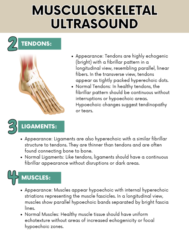 Screenshot 2025-03-18 at 9.36.34 PM